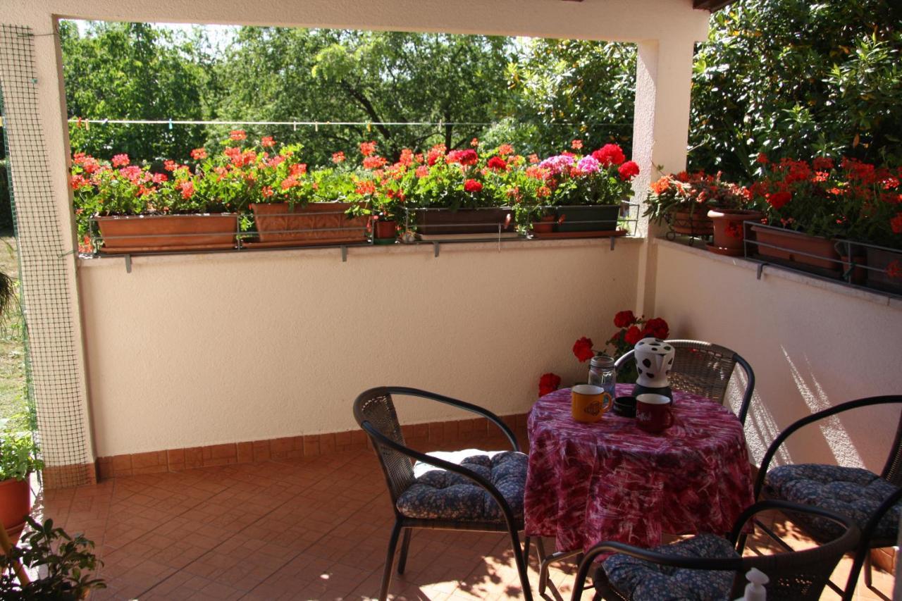 Apartman Rino Bašanija Exterior foto