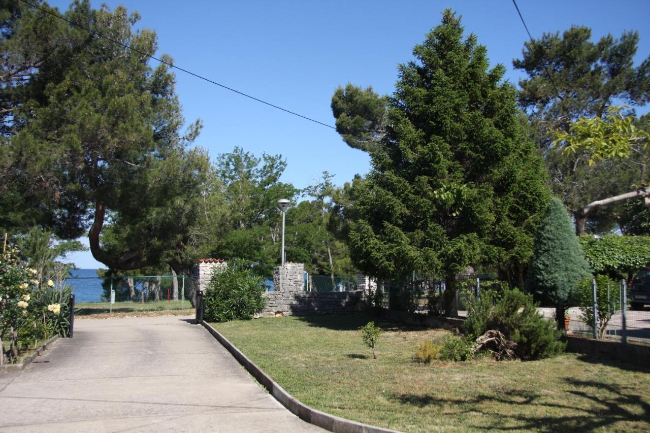 Apartman Rino Bašanija Exterior foto